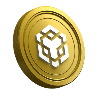 Moneda de la criptomoneda Binance BNB ubicada en la página de guía para nuevos traders